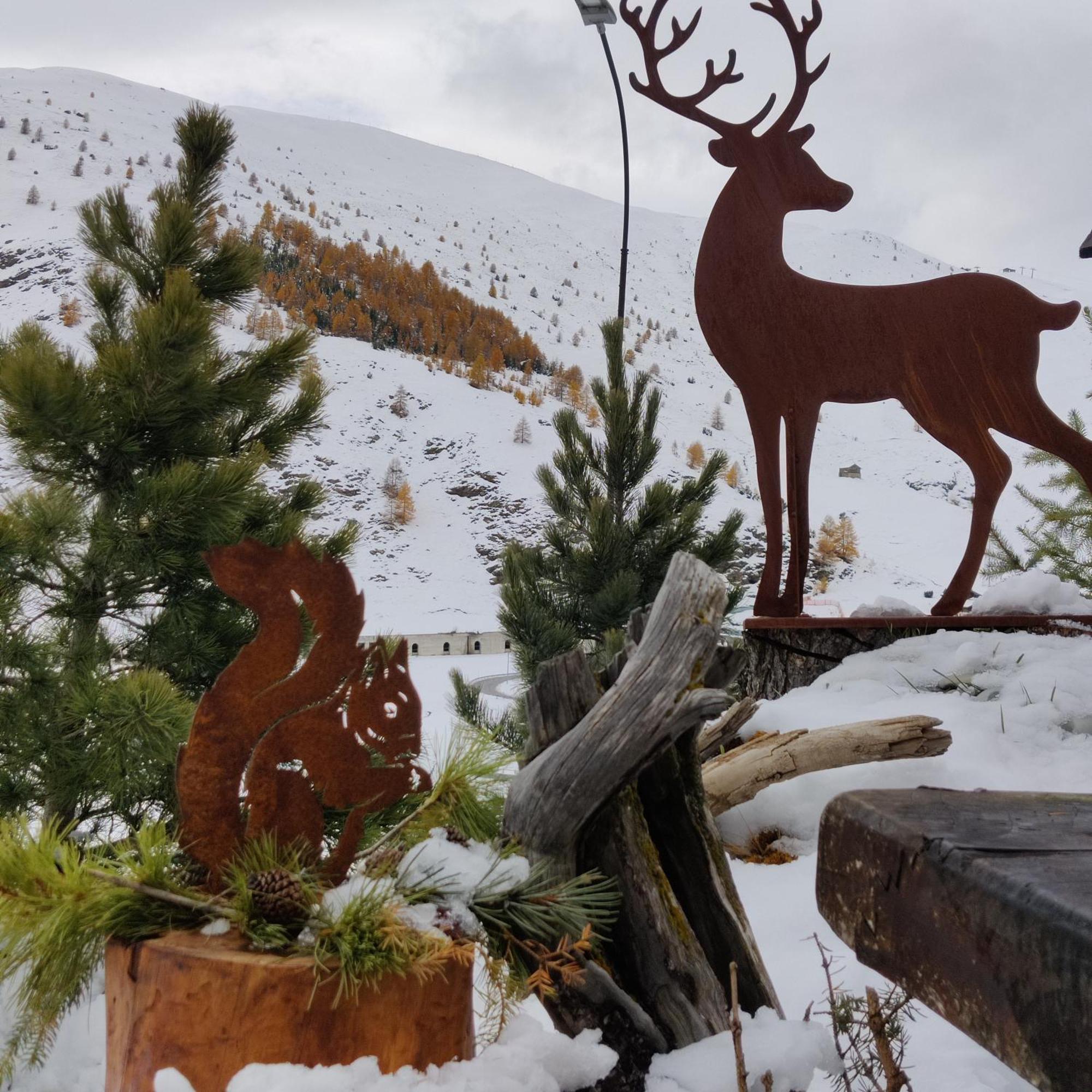 Appartamento Al Dos Livigno Esterno foto