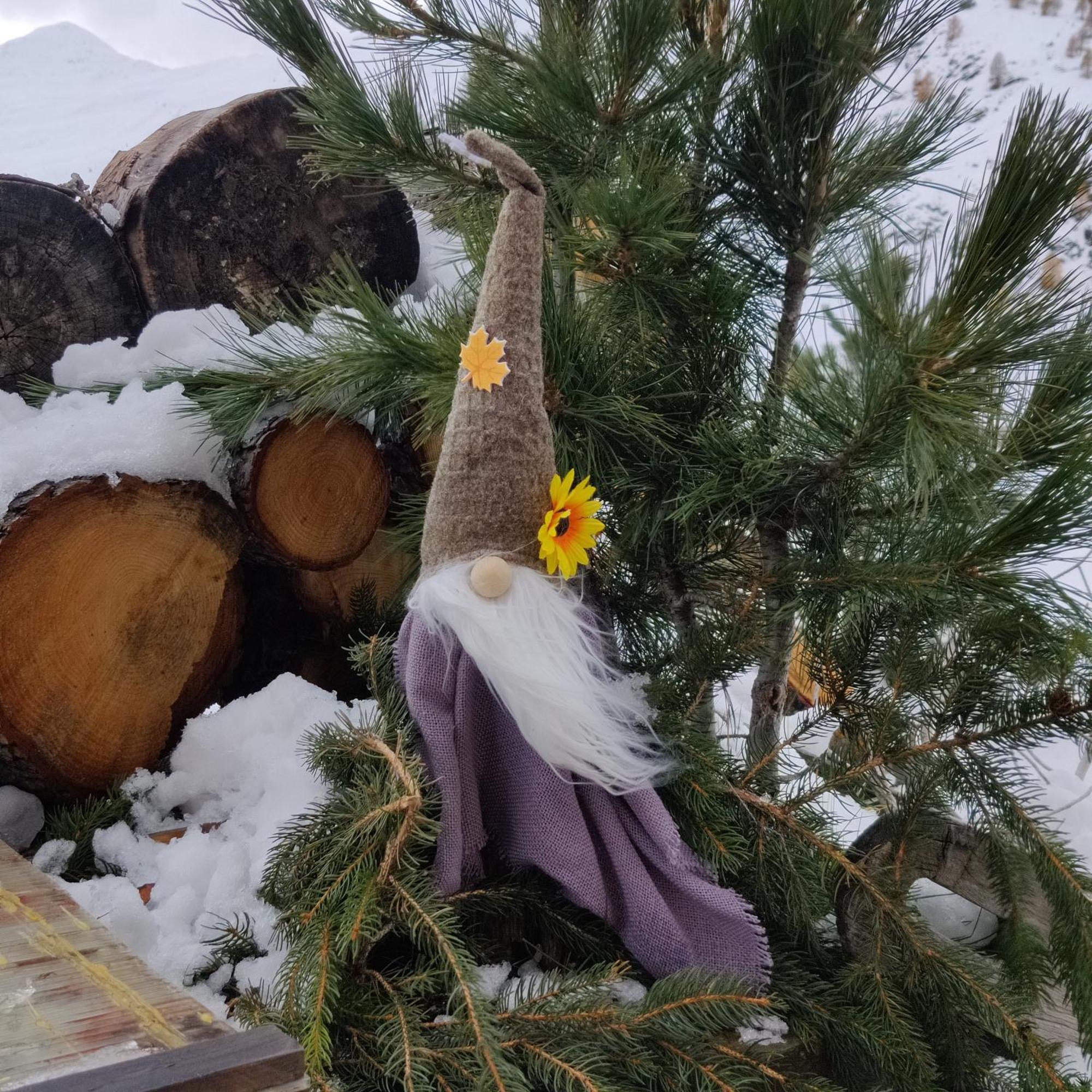 Appartamento Al Dos Livigno Esterno foto